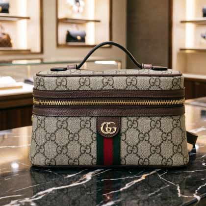 Gucci 老花双层包838491