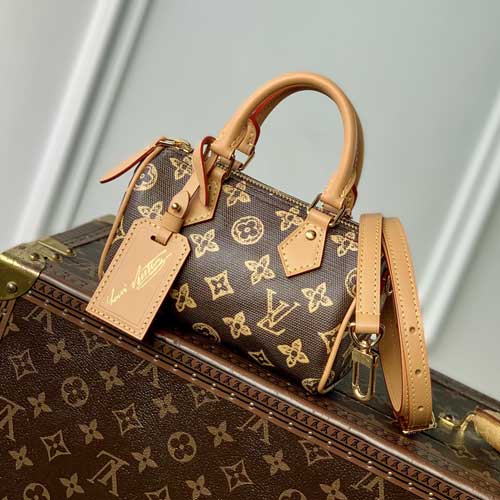 LV Nano Speedy枕头包M27610,Mono