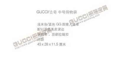 gucci经典款包 古奇女包 单肩包 手提包 211137蓝