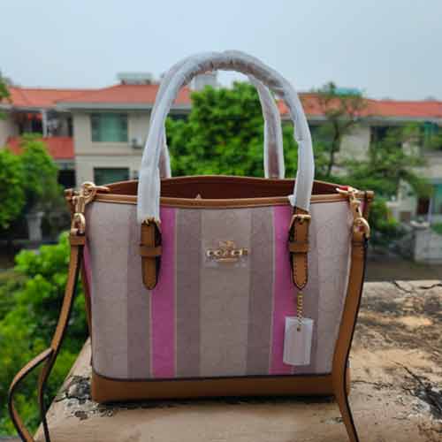 蔻驰经典款女包Mollie Tote 25 小号尺寸托特包C4086