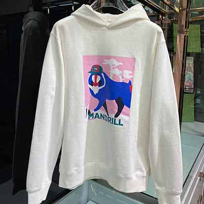 北面专柜同步 男女同款 前幅新品牌l图案帽衫卫衣